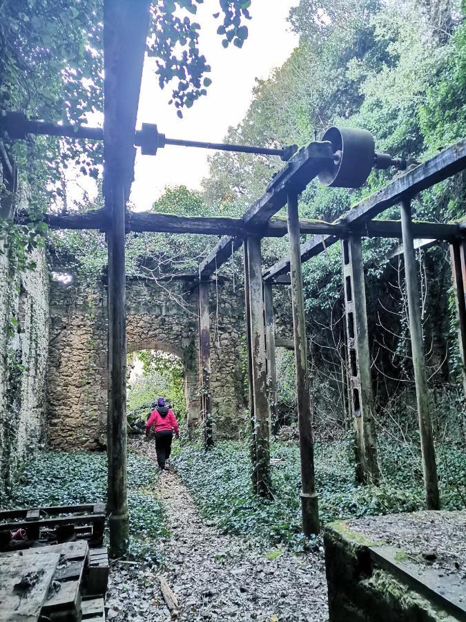 Cave With Free Parking Pula Exterior foto